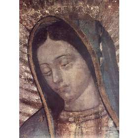 Nuestra Sra. de Guadalupe