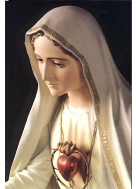 the Immaculate Heart of Marie