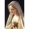 the Immaculate Heart of Marie
