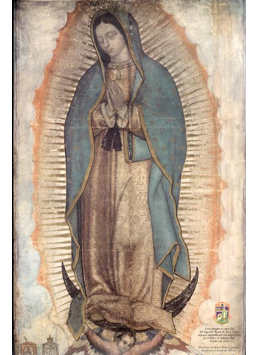 Our Lady of Guadalupe Our Lady of Guadalupe
