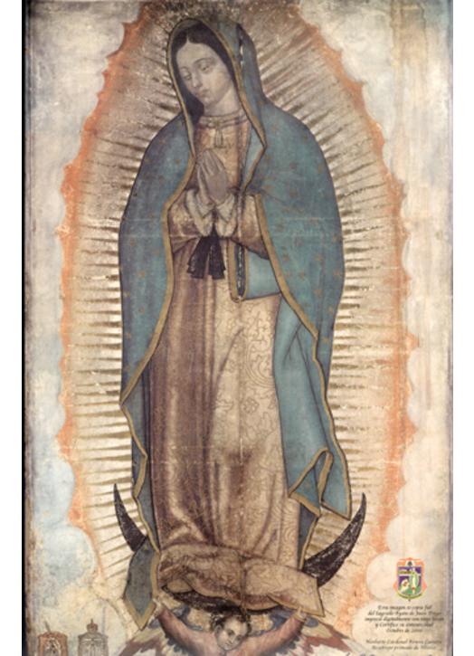 Nuestra Sra. de Guadalupe