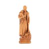 Statue of Saint Vincent de Paul (Vue de face)