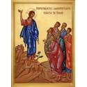 Public life of Christ