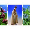 Our Lady of Fatima