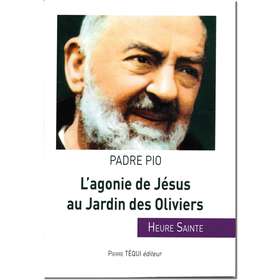 L'agonie de Jésus au Jardin des Oliviers