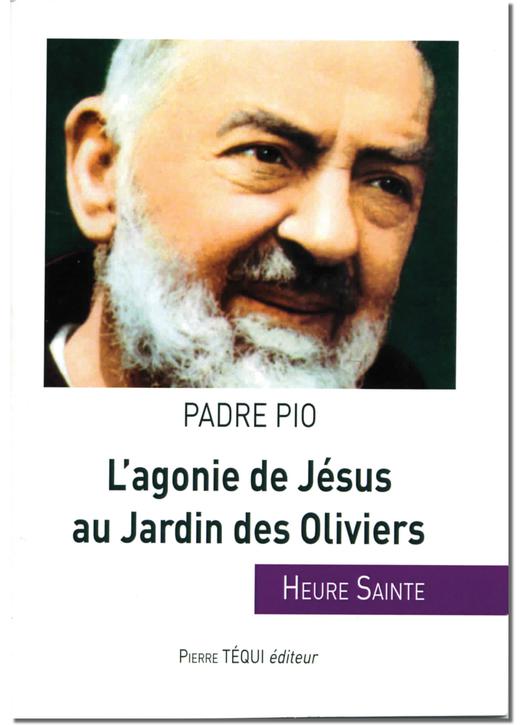 Libros católicos en francés L'agonie de Jésus au Jardin des Oliviers - Tienda religiosa