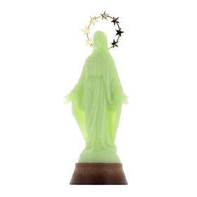 Statue of the Virgin Miraculous fluorescent, 30 cm