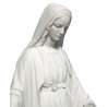 Statue of Miraculous Virgin, 50 cm (Gros plan sur le visage en biais)