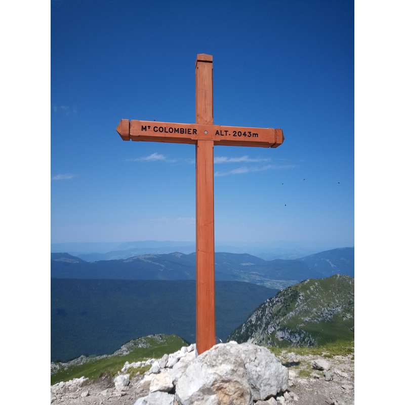 Cross-pendentive of saint Bruno (Croix Mt Colombier)