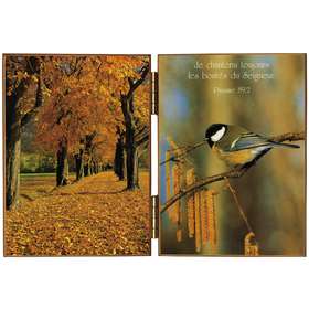 Titmouse and autumn colors