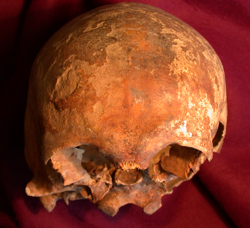 Crâne de saint Jude à Flavigny