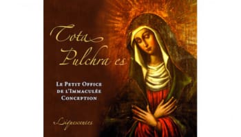 Pourquoi Marie est l'Immaculée Conception ?